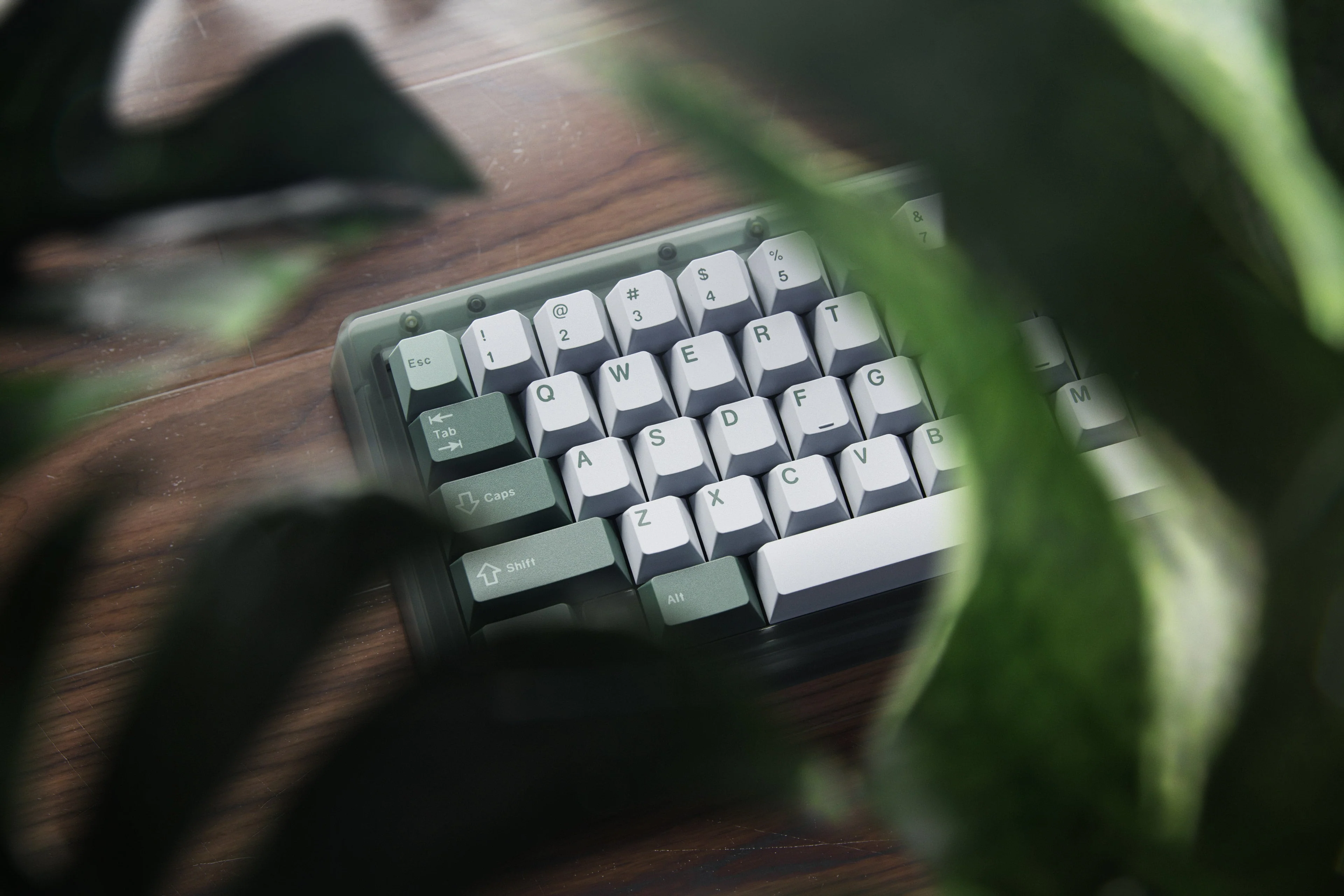 Thumb 5